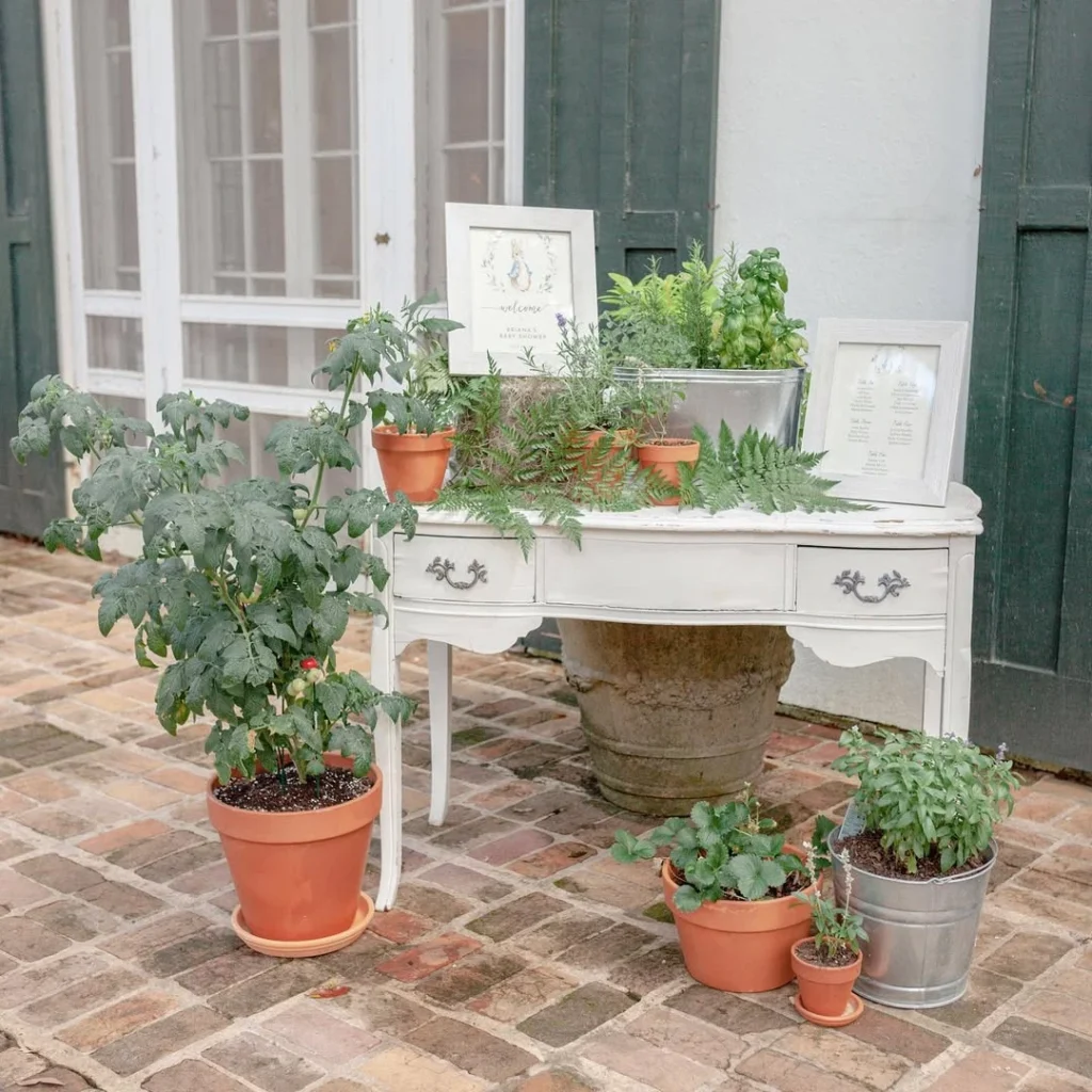 Pots & Plants