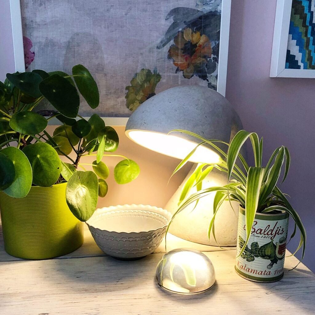 Tin Can Plant Pots