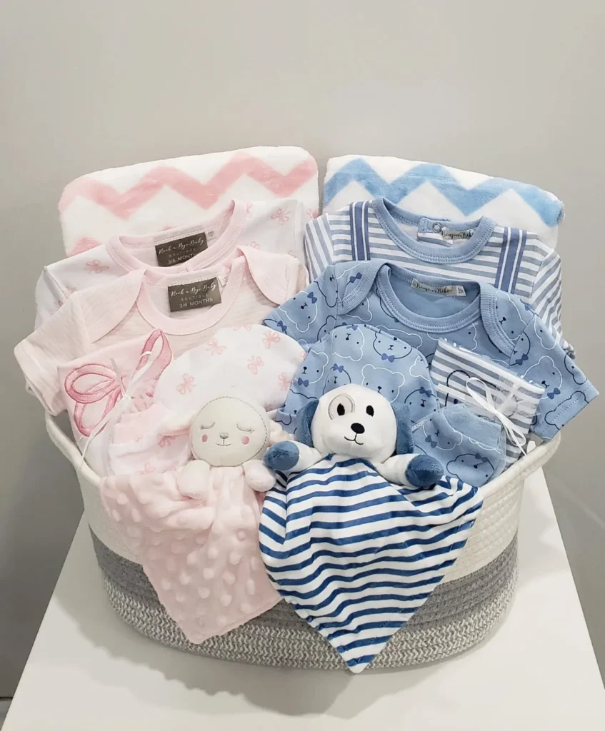 Charming Twin Baby Gift Basket