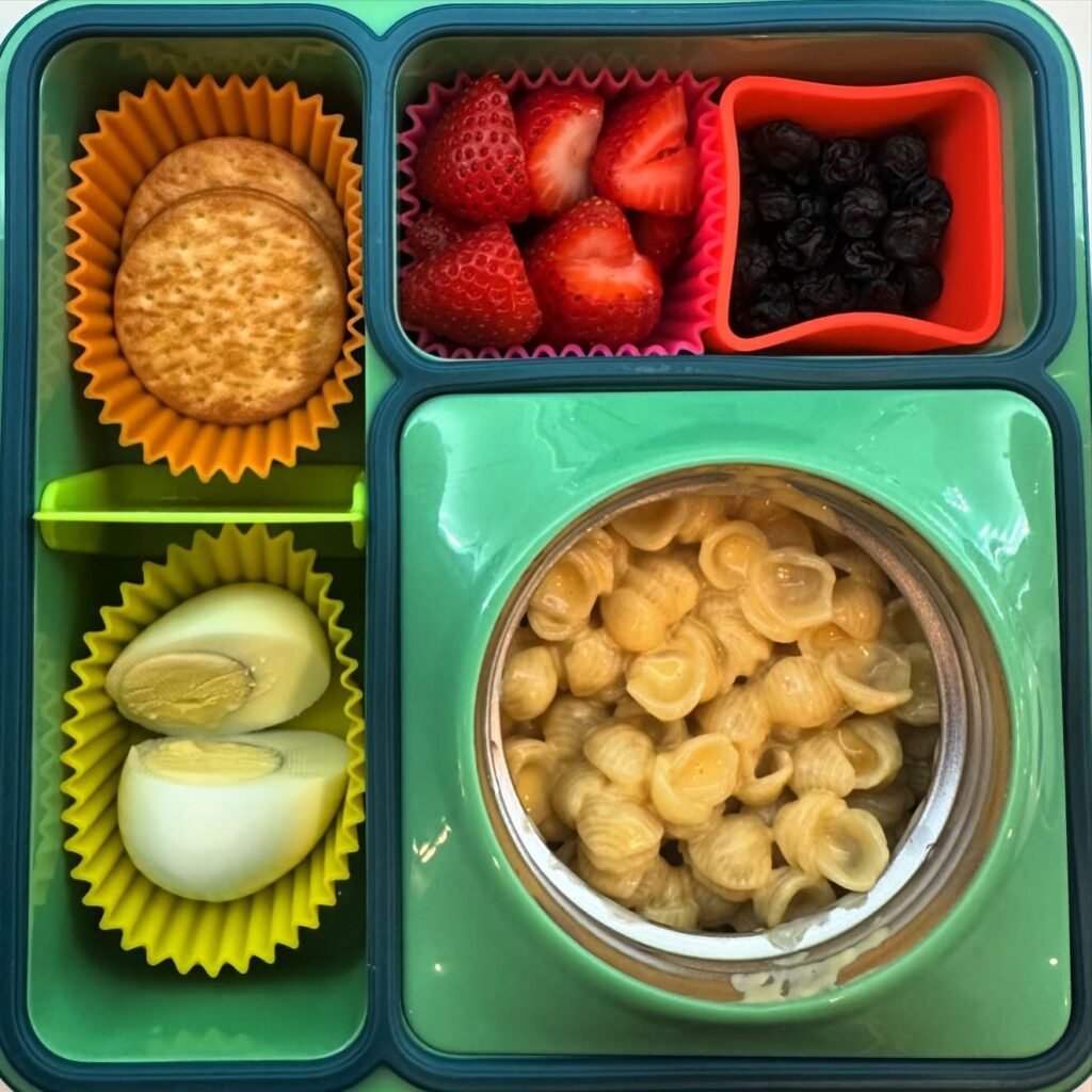 Nutritious and Appealing Packed Lunch