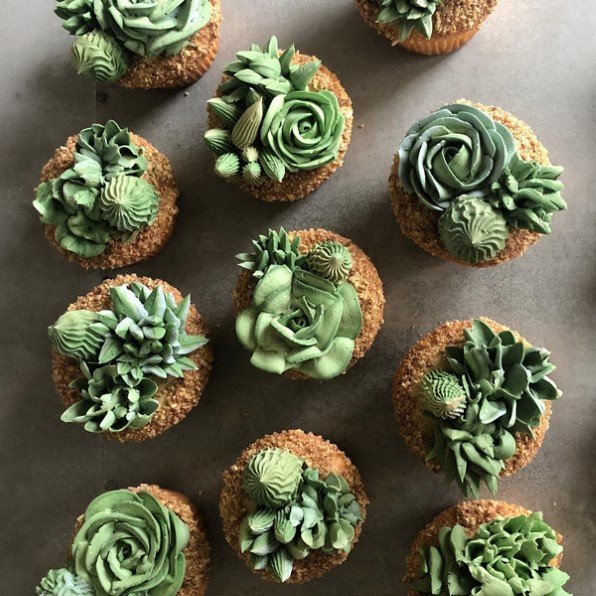  Succulent Garden Cupcakes