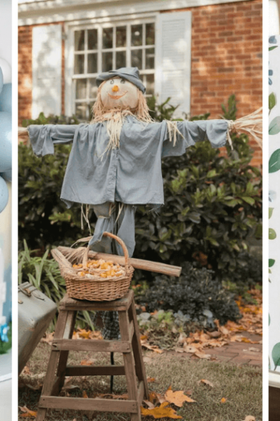 Peter Rabbit Baby Shower Ideas
